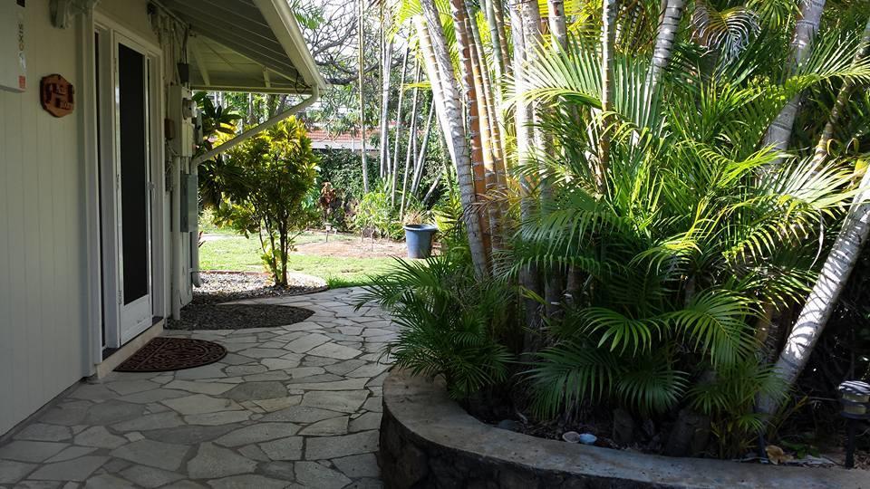 Paradise Palms B & B 카일루아 외부 사진