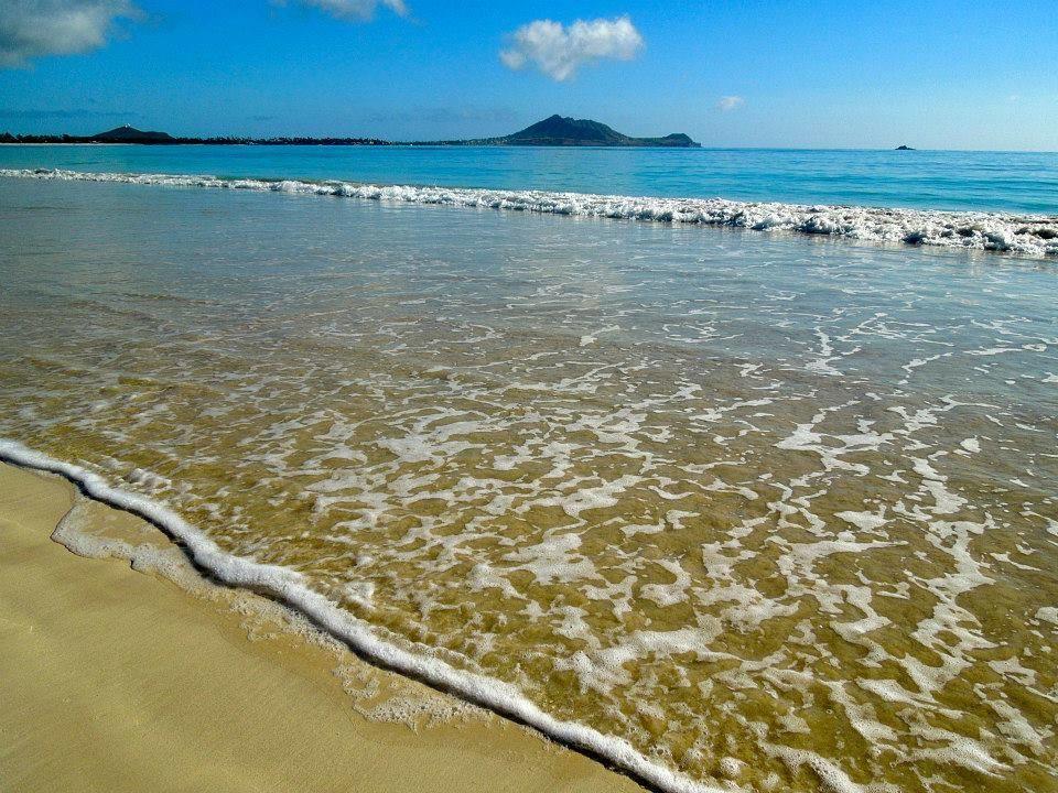 Paradise Palms B & B 카일루아 외부 사진